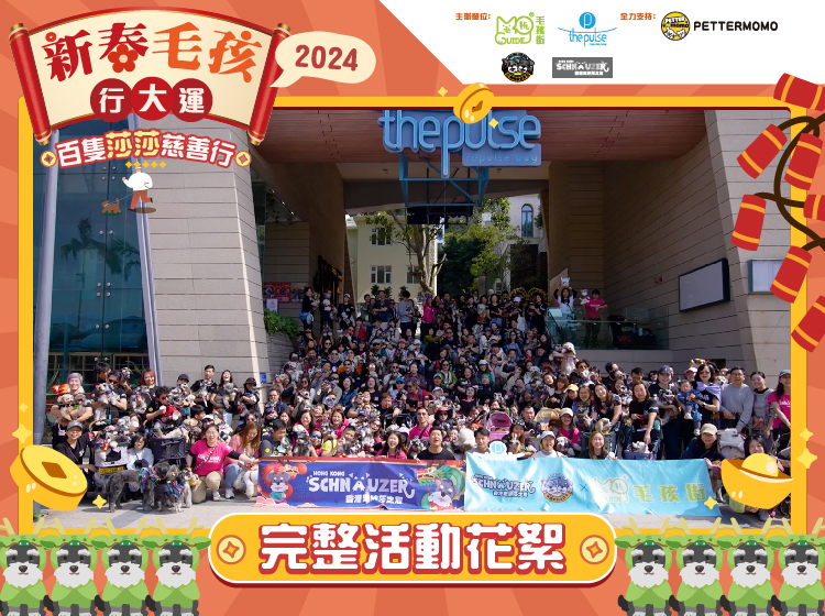  X The pulse X 香港史納莎之友【百隻莎莎慈善行】＋ 【百隻莎莎 “龍”年慶新春團拜】