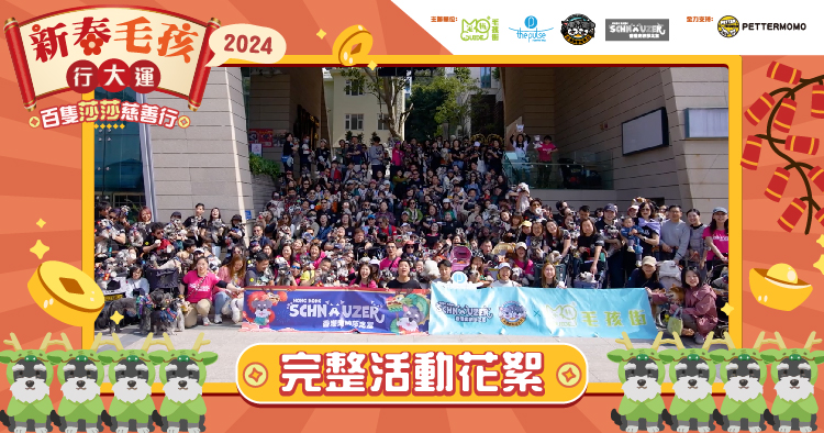  X The pulse X 香港史納莎之友【百隻莎莎慈善行】＋ 【百隻莎莎 “龍”年慶新春團拜】