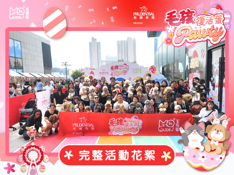保誠呈獻《毛孩復活蛋Pawty》花絮