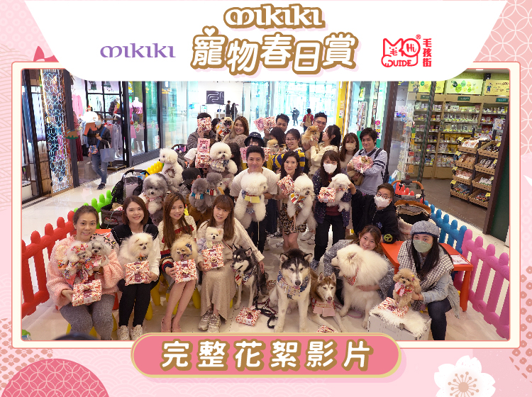 <毛孩街> X Mikiki 【寵物春日賞】