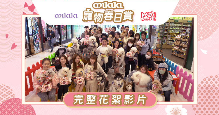 <毛孩街> X Mikiki 【寵物春日賞】