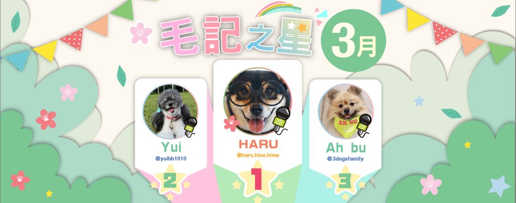 3月毛記之星+毛探長