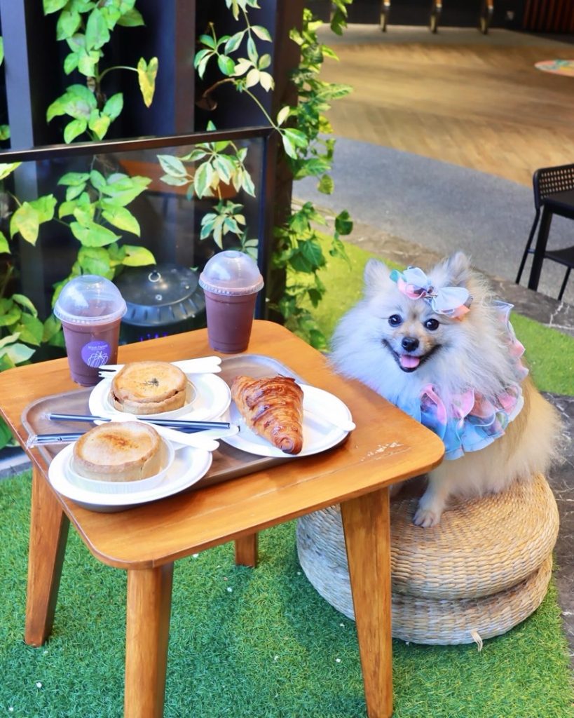 【好去處】大圍隱世精品Café x 共享空間☕