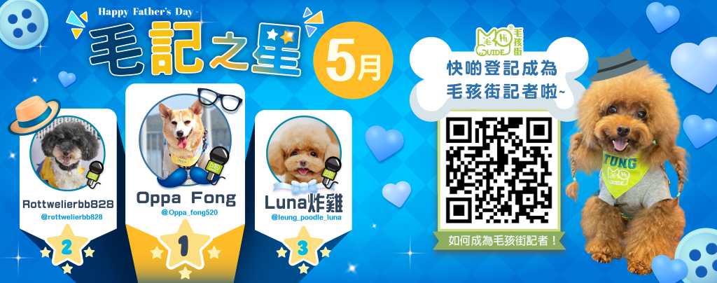 🌟5月毛記之星🌟