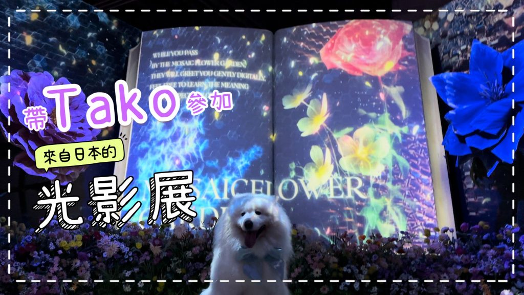 日本的「Naked Flowers 花舞光影展」｜多個超靚卡打位