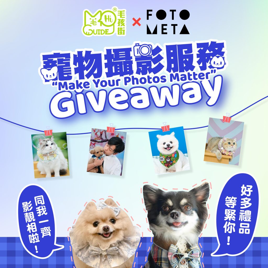 😍 送出寵物攝影套餐＋立體相片等精選禮物 ！