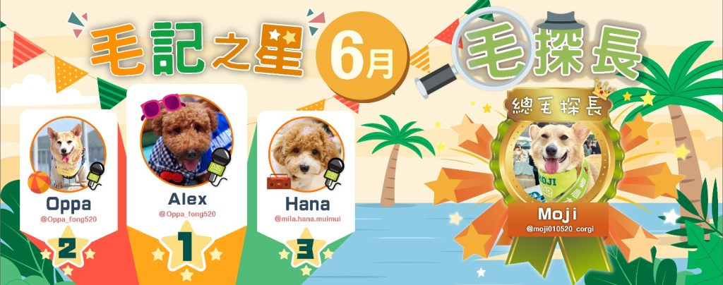 🌟6月毛記之星🌟