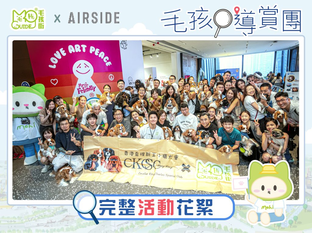 🐶Airside 毛孩導賞團🐱活動花絮