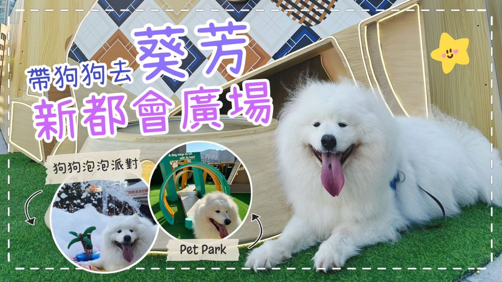 葵芳新都會廣場的「Pet Park」開幕了！｜西摩Tako