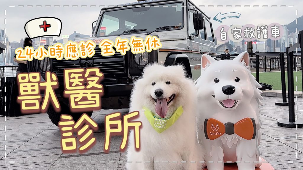 新開24/7獸醫診所 全年無休