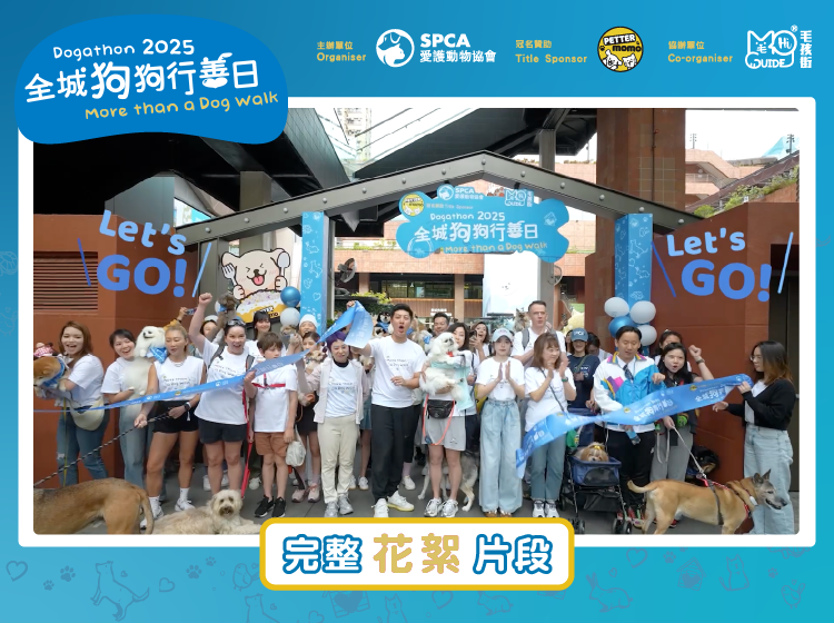 PETTERMOMO冠名贊助 《SPCA 全城狗狗行善日 2025》