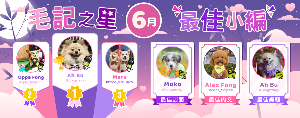 🎉6月毛記之星+小編🎊