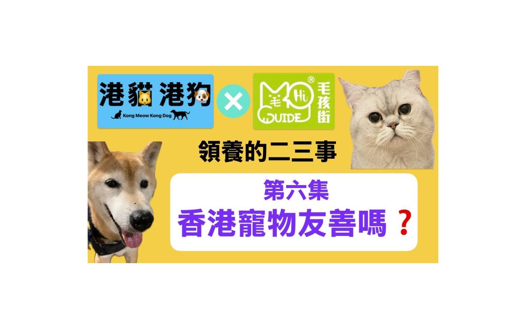 【毛孩知識】《港貓港狗》- EP 6「領養的二三事」- 香港寵物友善嗎？