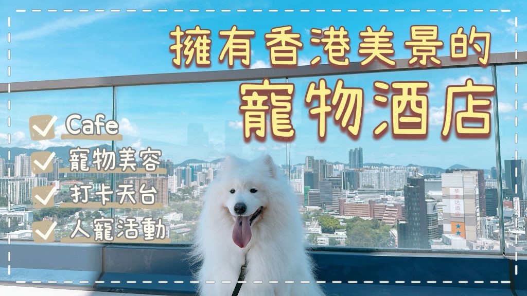 擁有香港美景的寵物酒店🔎｜西摩犬Tako｜