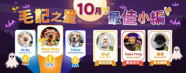 🎉10月毛記之星+小編🎊 🎉10月毛記之星+小編🎊