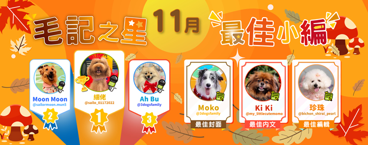 🎉11月毛記之星+小編🎊 🎉11月毛記之星+小編🎊